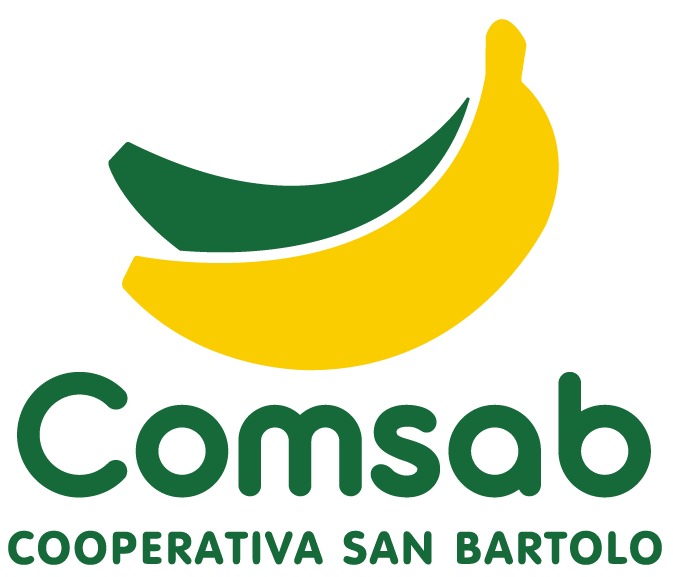 Logos cosntela-02